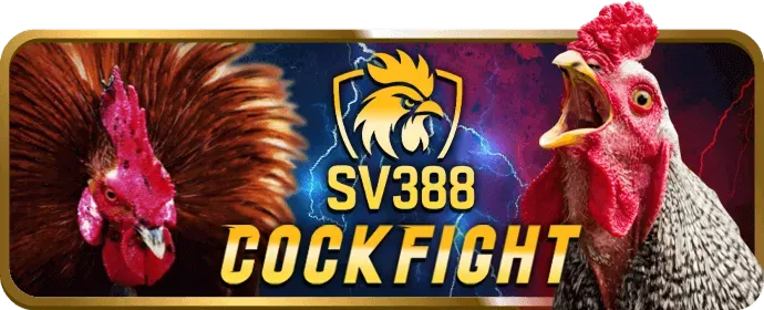 Chương trình VIP hihi88 win